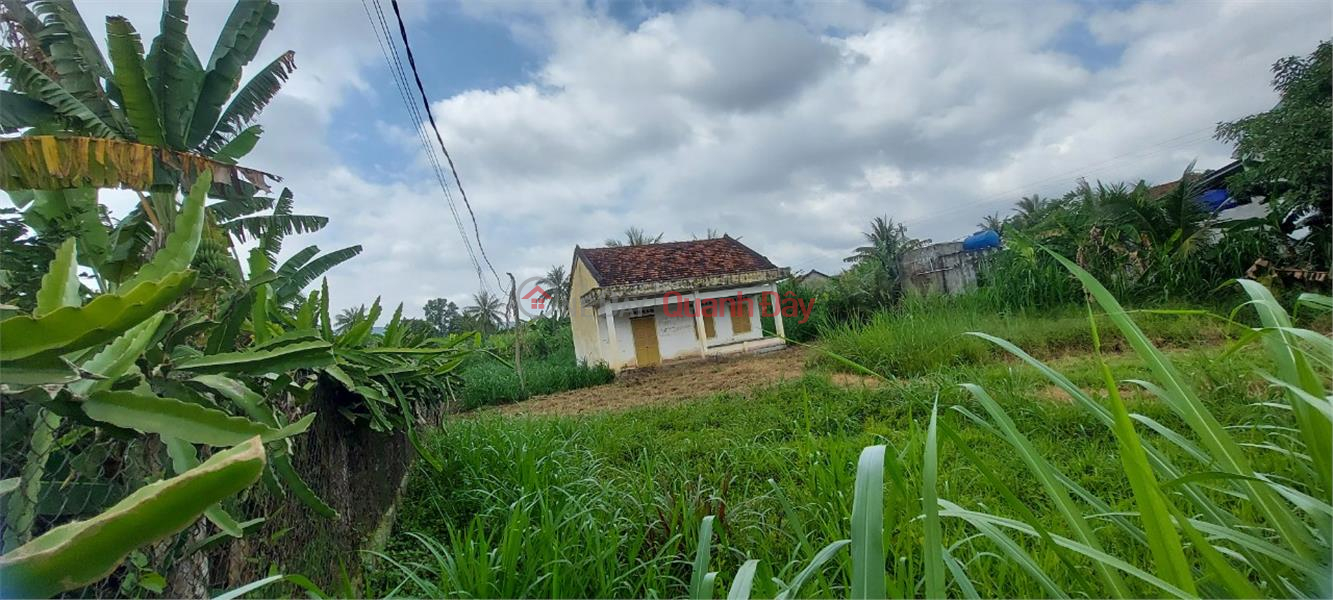 đ 950 Million | Beautiful Land - Good Price - Owner Needs to Sell Beautiful Residential Land Lot in Son Giang, Song Hinh, Phu Yen.