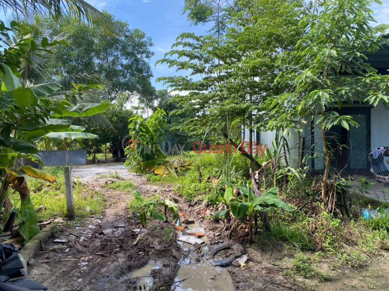 Property Search Vietnam | OneDay | Residential, Sales Listings OWNER'S LAND - GOOD PRICE - QUICK SALE Lot of Land in Phu Son 2 Village, Hoa Vang, Da Nang