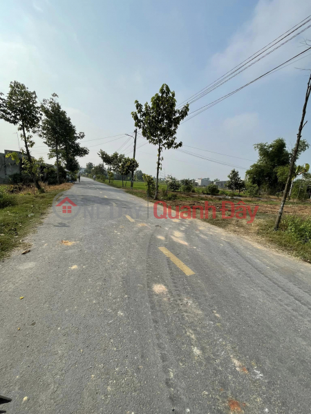 Owner Urgently Needs to Sell Land Plot, Provincial Road 9, My Hanh Bac, Long An Vietnam, Sales, đ 2.2 Billion