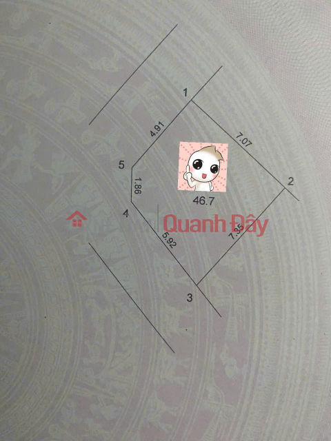 OWNER NEEDS TO SELL A CORNER PLOT OF 46.7 M2 IN GIA LAM RESETTLEMENT AREA, PRICE SLIGHTLY OVER 9 BILLION VND, CONTACT 0985865658 _0