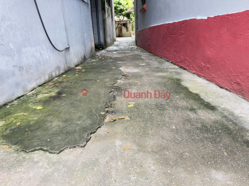 Property Search Vietnam | OneDay | Residential Sales Listings Land for sale in Hau Duong village, Kim Chung, Dong Anh - "Golden" location, near Bac Thang Long Industrial Park.