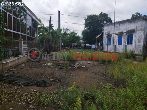 Land for sale, 547m2, with Red Book title deed, located on Road 848, Tan Khanh Dong, Sa Dec. Southeast facing. Price: 2.6 billion VND. _0