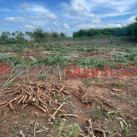 Land for sale in Phuoc Binh, Phuoc Thai commune, Dong Nai province, area 8194 m2, price 30 billion VND (negotiable). Land for sale in Phuoc Binh, Phuoc Thai commune, Dong Nai province, area 8194 m2, price 30 billion VND (negotiable). _0