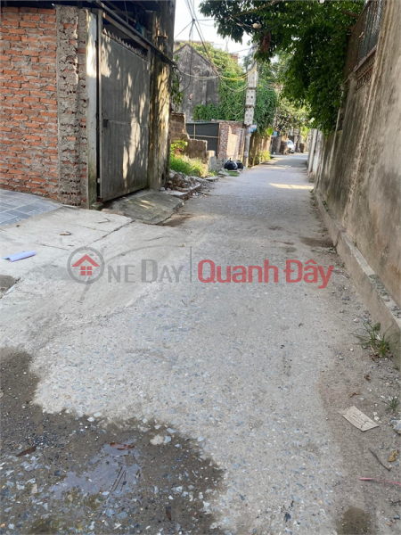 Property Search Vietnam | OneDay | Residential Sales Listings, I sold 120 pieces of land divided into 2 lots at the owner's investment price at Chuong My contract