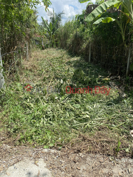 Property Search Vietnam | OneDay | Residential Sales Listings | BEAUTIFUL LAND - GOOD PRICE - Land Lot For Sale Prime Location In Phong Dien District - Can Tho