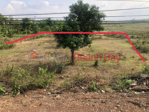 Đất 400 m2 thổ cư, 17m Mặt tiền Tỉnh lộ 1 - Huyện Buôn Đôn - Đăk Lăk, giá chỉ 170 tr/m _0