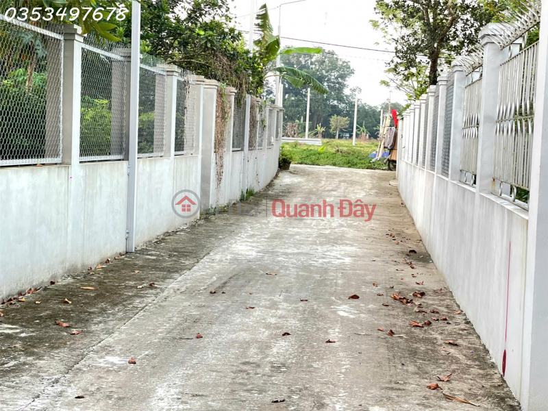 Residential land for sale, area 156.3m2 in Tan Xa, investment price, Vietnam | Sales đ 36 Million