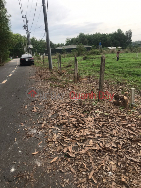 SELL URGENTLY! OWNER Sells Split Plot F0 In Bau Bang, Binh Duong Province _0