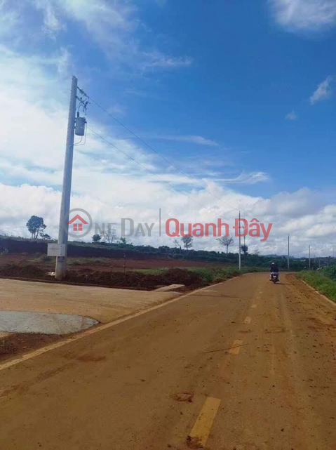 OWNER Needs to Sell 4 Adjacent Land Lots with Private Register in Lien Chau, Lien Dam, Di Linh, Lam Dong Areas _0