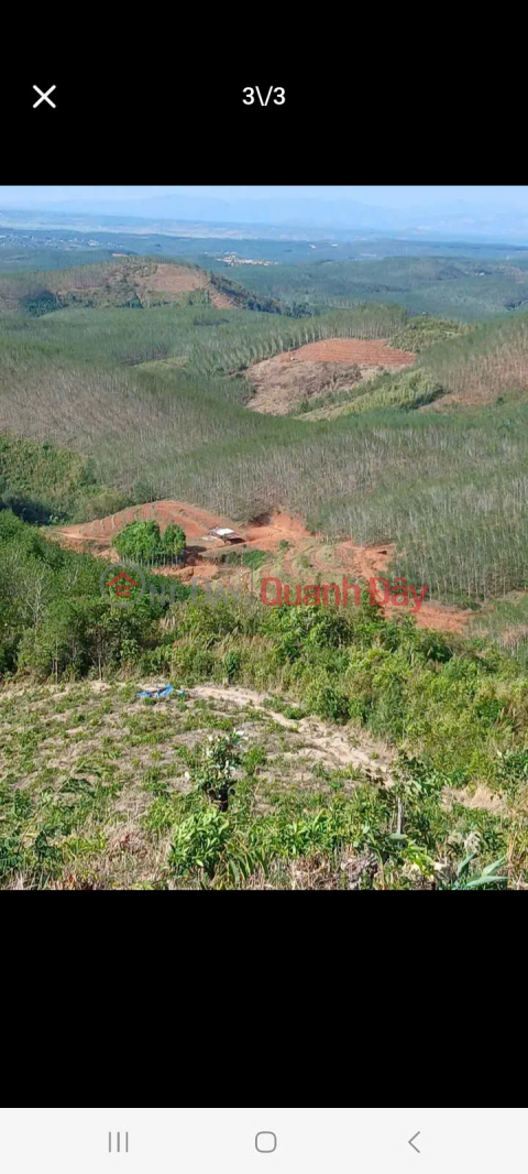 OWNER Needs to Quickly Sell 7ha Farmland Plot in Dak Ha, Kon Tum _0