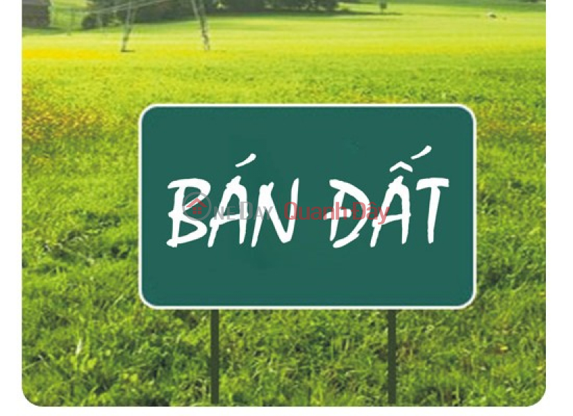 Bán lô đất 600m2 Thuộc Tổ 11- Phường Tây Hoa Lư – Ninh Bình. Niêm yết bán