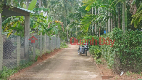 ĐẤT ĐẸP – GIÁ TỐT –CHÍNH CHỦ CẦN BÁN ĐẤT đường trần tôn thất, hoài xuân, thị xã hoài nhơn, bình định _0