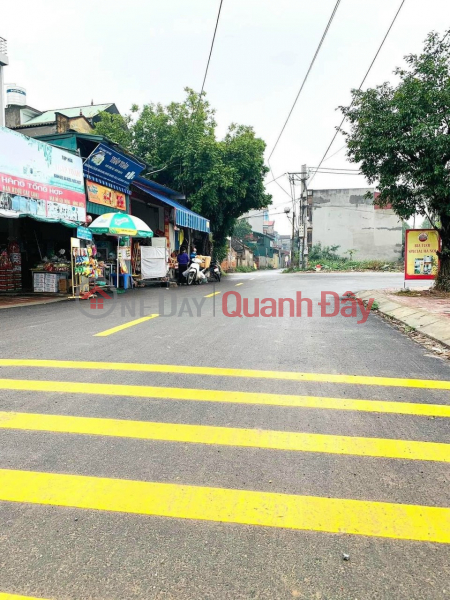 Property Search Vietnam | OneDay | Residential | Sales Listings, Need to sell quickly plot of land at Cat Lu auction, direction, Van Lam, Good price for investors, high potential for price increase