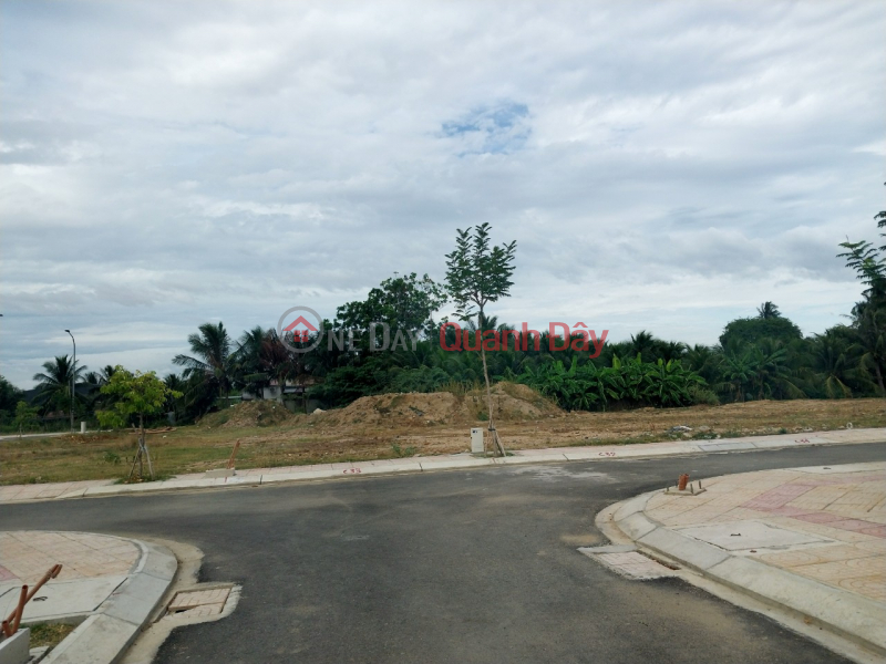 Quick sale of land plot in Phan Rang city near Tan Hoi church at the end of Thong Nhat street, only 11 million\\/m2 Sales Listings