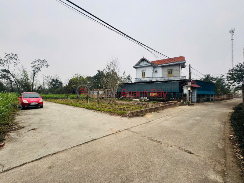 BEAUTIFUL LAND LOT FOR SALE AT GOOD PRICE IN THAI LAI VILLAGE, MINH TRI, SOC SON, HANOI Sales Listings