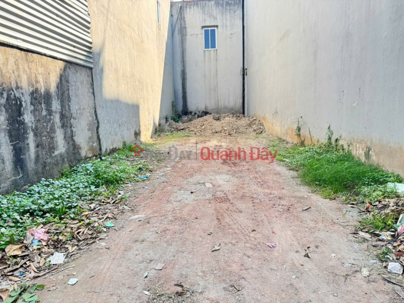 Property Search Vietnam | OneDay | Residential, Sales Listings, Land for Sale on Quang Minh Main Road - Me Linh - 54m2 - Accessible by Car - Good for Business
