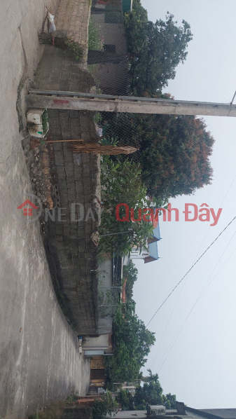 Property Search Vietnam | OneDay | Residential Sales Listings, Quick sale of 1 lot at the corner of Truong Yen Chuong My, Hanoi, area 465m2, price over 5 billion.