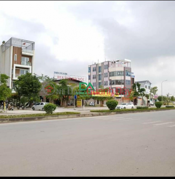 Property Search Vietnam | OneDay | Residential Sales Listings Selling 250m2 of villa land in Nguyen Khe Dong Anh urban area with the cheapest price of all time