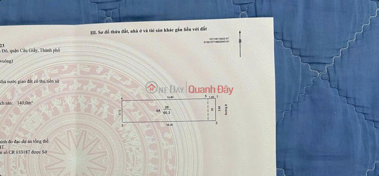 Property Search Vietnam | OneDay | Nhà ở | Niêm yết bán, (Tin thật 100%) Bán Apartment 3 mặt tiền tại mặt phố Hoàng Sâm - Đường 2 ô tô tránh - DT 1,3 tỷ/năm