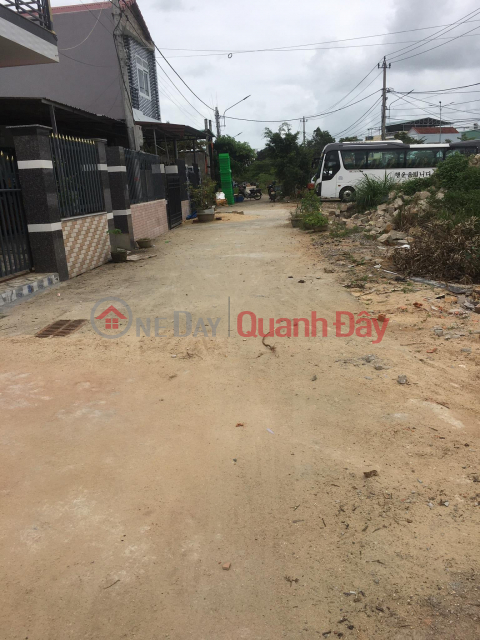 Owner For Sale Land Lot Prime Location In Tuy Phuoc - Binh Dinh _0
