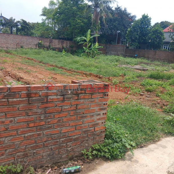 BEAUTIFUL LAND - GOOD PRICE - Urgent Sale 2 Plots of Land 400, Vietnam | Sales đ 6.6 Billion