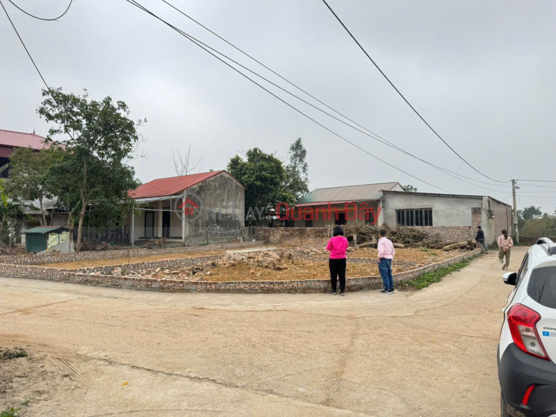 Bán Gấp Lô Góc 54m2 Thôn Gia Tân, Quang Minh - Cạnh KĐT Long Việt - Kinh Doanh Tốt Niêm yết bán