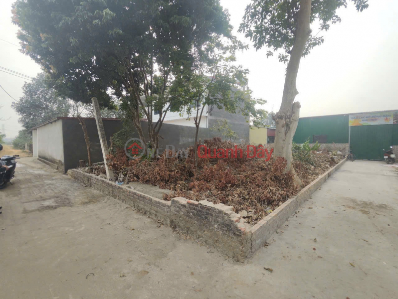 Cơ Hội Đầu Tư Cực Hiếm - Lô Góc 2 Mặt Tiền Gần Vành Đai 4 - Kim Hoa, Mê Linh Niêm yết bán