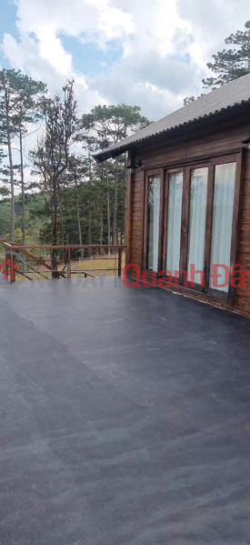 đ 11,2 tỷ Cần bán 28 sào đa nhim lạc dương - giá chào 400tr/sào