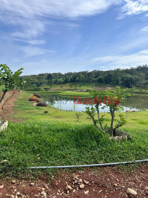 BEAUTIFUL LAND - PROFITABLE INVESTMENT - Need to Sell Land Plot Quickly in Song Xoai, Phu My Town, BRVT _0