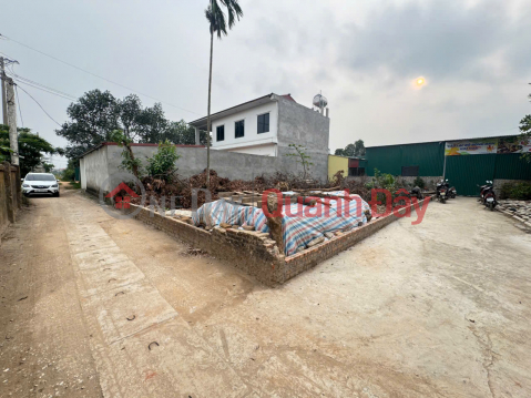 Corner Land for Sale in Kim Hoa, Me Linh, Hanoi - Extremely Attractive Golden Investment Opportunity _0