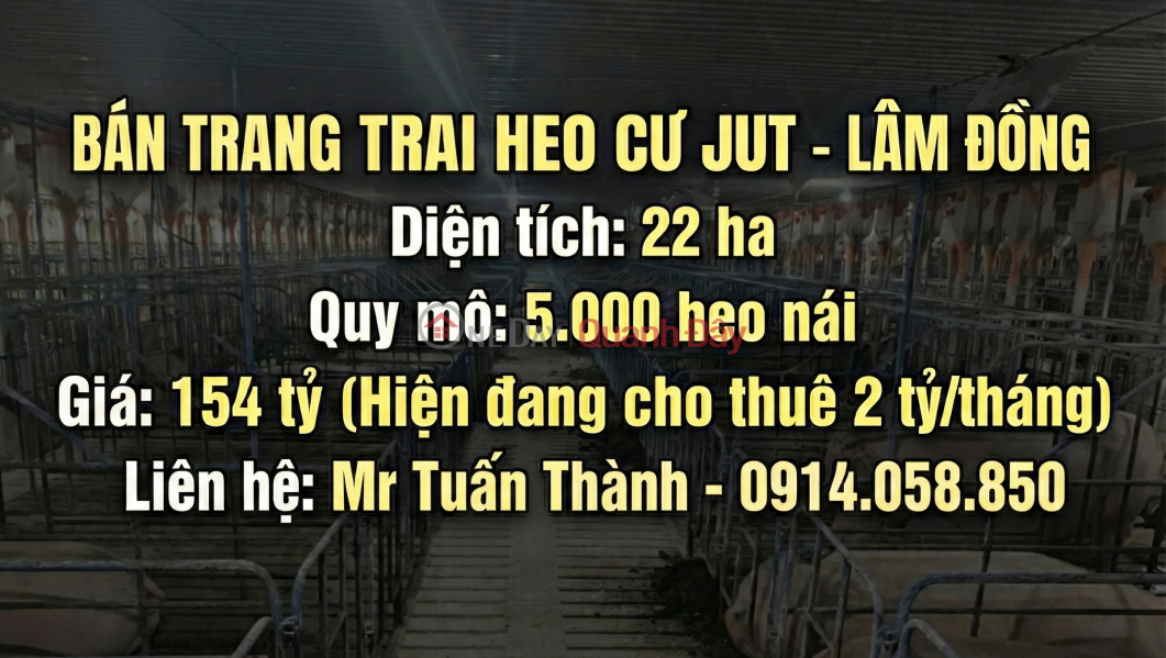 Trại Heo 22ha Lãi Ngay 2 Tỷ/Tháng Niêm yết bán (849-2907002180)