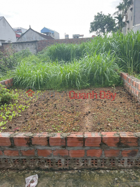 Bán đất thôn Phú Hạ, Minh Phú, Sóc Sơn. Gần đường Quốc Lộ 35, oto đỗ cửa Việt Nam | Bán | đ 1,75 tỷ