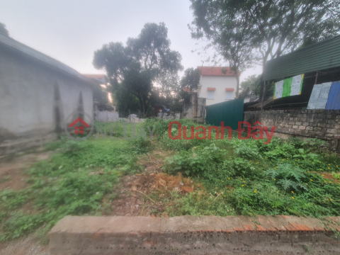 BÁN ĐẤT KIM SƠN - GIA LÂM, 54,5 M2, GIÁ 3 TỶ CÓ THƯƠNG LƯỢNG, LH 0985865658 _0