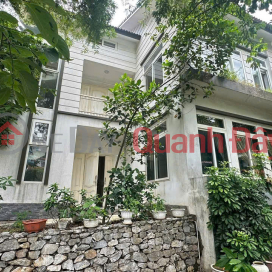 Nguyen Duc Canh street frontage, Hoang Mai, bustling business, huge frontage 87 m2, 17 billion _0