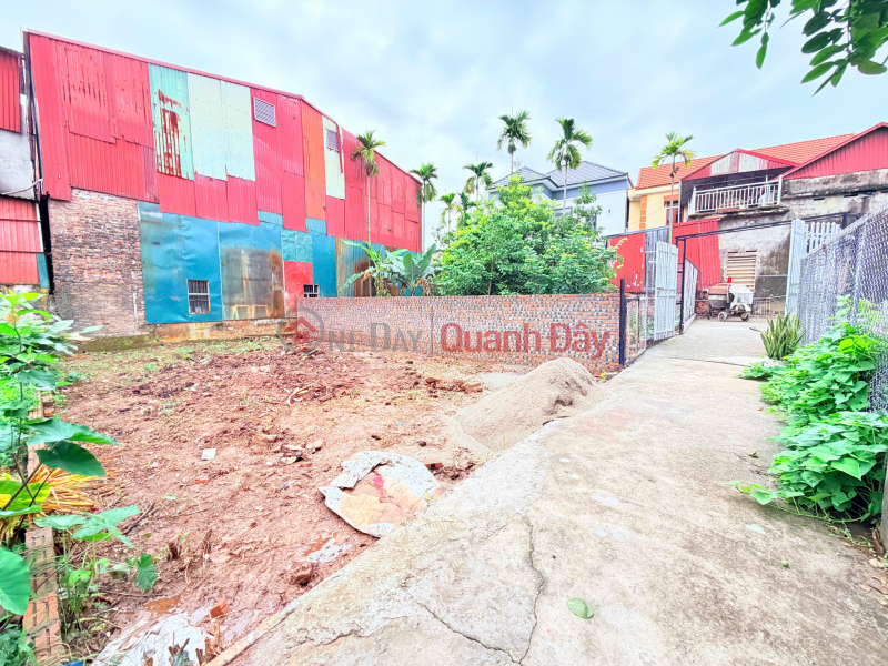 Property Search Vietnam | OneDay | Residential, Sales Listings | WANT TO SELL 95M² OF LAND IN TRUNG CHAU B, LIEN MINH, HANOI