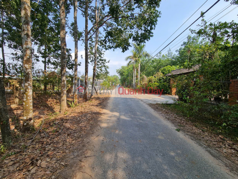 đ 64 tỷ, Cần sang gấp lô đất tại mặt tiền đường Phạm Thị Quới, Phú Mỹ Hưng ( nay là An Nhơn Tây),Củ Chi, TP. Hồ Chí Minh