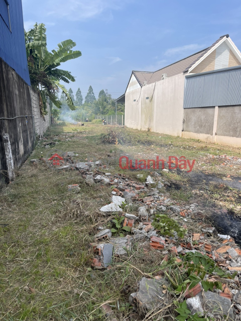 OWNER NEEDS TO SELL LAND LOT AT QL91, Phung Thanh 2 Area, Trung Kien, Thot Not, Can Tho _0