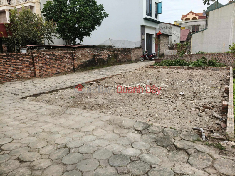Property Search Vietnam | OneDay | Residential Sales Listings FOR SALE: BEAUTIFUL CORNER PLOT IN DANG XA, GIA LAM, 50M², PRICE 3.5 BILLION VND - CONTACT 0985865658