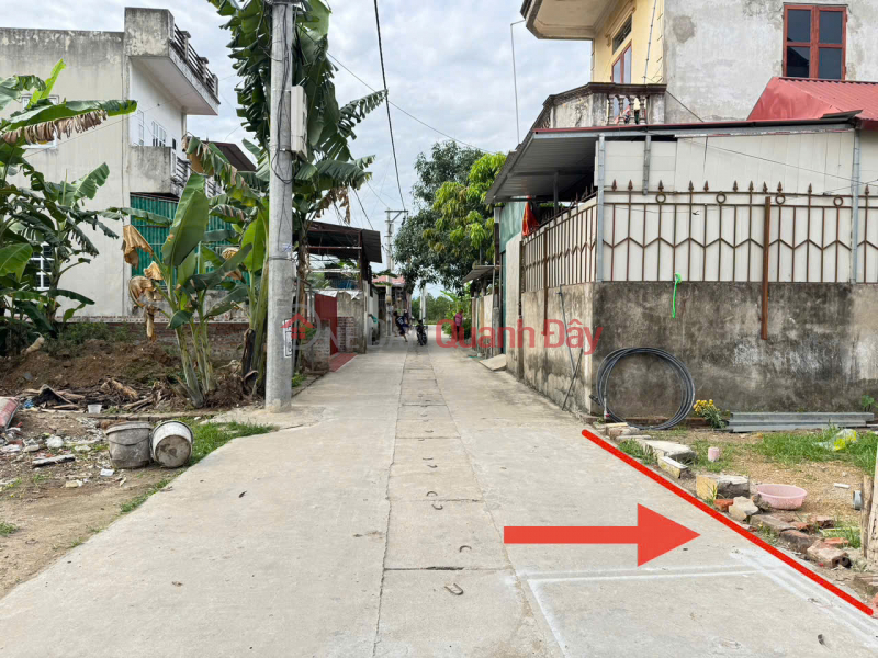 Land for sale in group 9, Quang Minh town, Me Linh. Near Tue Tinh Medical and Pharmaceutical College and Industrial Park. Sales Listings