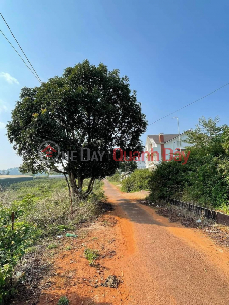 Property Search Vietnam | OneDay | Sales Listings [Hot News] Discount Urgent sale of beautiful Villa Land in Mang Ling, Da Lat 215m2 price only 4.2 billion