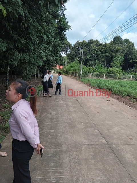 ĐẤT ĐẸP- Cần Bán Nhanh lô đất vị trí đẹp Khu An Linh huyện Phú Giáo, tỉnh Bình Dương _0