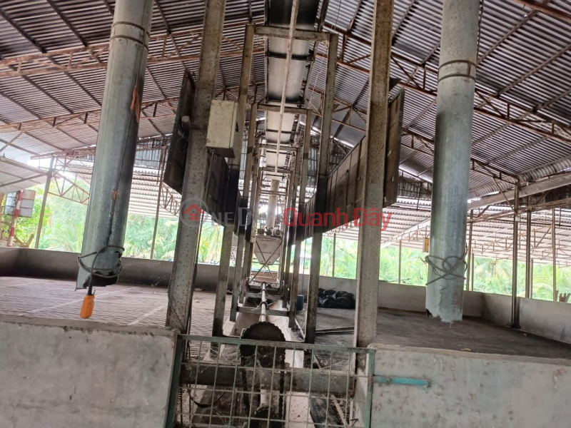 NEED FOR RENTAL OR TRANSFER Large Capacity Rice Dryer 250 Tons\\/24h At Giong Rieng Rental Listings