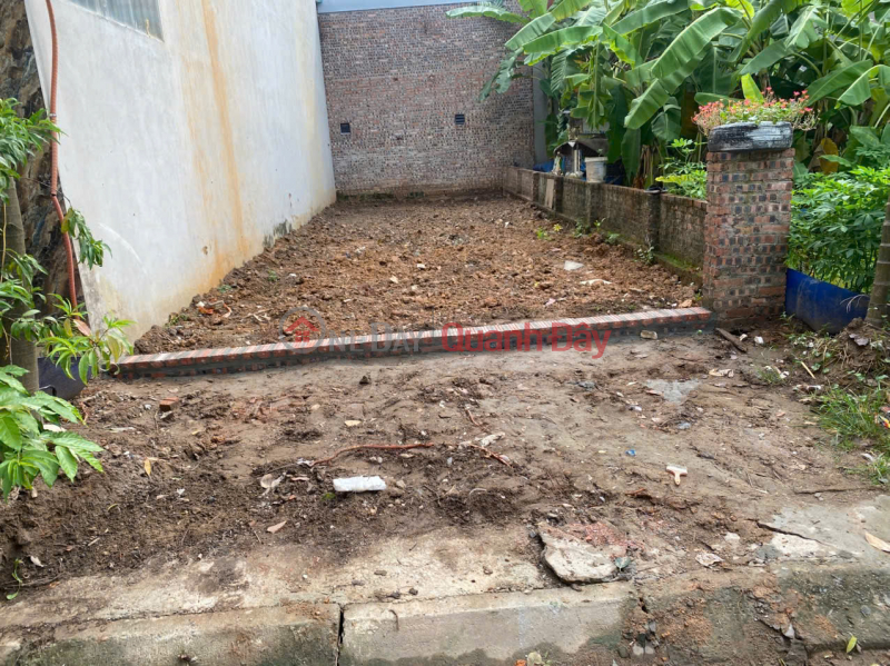 Bán đất dịch vụ tổ 5, Quang Minh, Mê Linh. Gần khu công nghiệp. Khu vực kinh doanh sầm uất Niêm yết bán