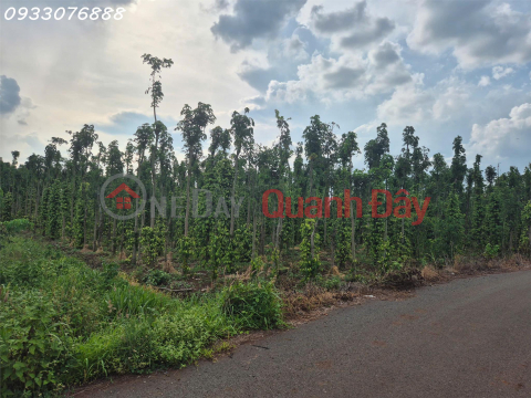 Bán đất tại Bình Trung, Châu Đức, Bà Rịa Vũng Tàu, DT 1.000m2, giá đầu tư _0