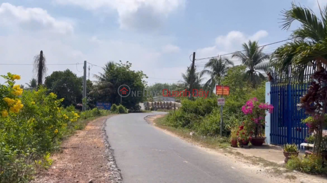 PRIME LAND - GREAT PRICE - QUICK SALE! INVESTMENT PLOT WITH HIGH PROFIT POTENTIAL IN CHAU THANH DISTRICT, TAY NINH PROVINCE | Vietnam, Sales | đ 450 Million