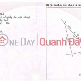 PROFITABLE INVESTMENT OPPORTUNITY - Owner needs to sell land in Tan Hiep Commune, Long Thanh District, Dong Nai Province. _0