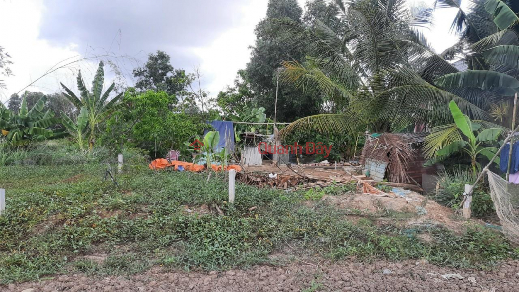Property Search Vietnam | OneDay | Residential | Sales Listings BEAUTIFUL LAND - GOOD PRICE - OWNERS Need to Sell Beautiful Land Plot Urgently Location in Binh Chanh District