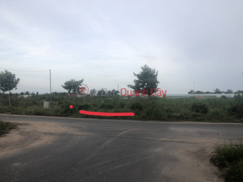 OWNER NEEDS TO SELL LAND LOT URGENTLY IN Phu An, Cai Rang District, City. Can Tho Sales Listings