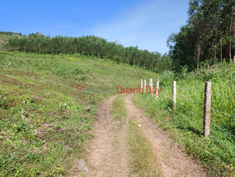đ 1.44 Billion, Beautiful Land - Good Price - Owner Needs to Sell Land Lot in Nice Location In Khanh Nam Commune, Khanh Vinh