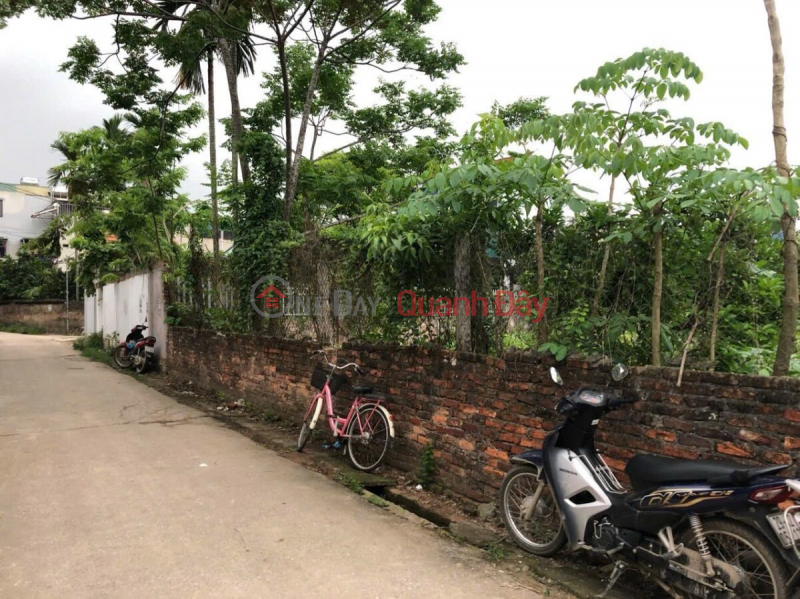 Property Search Vietnam | OneDay | Nhà ở | Niêm yết bán | CHÍNH CHỦ BÁN LÔ ĐẤT FO 43,5M TẠI ĐẠI YÊN-CHƯƠNG MỸ-HÀ NỘI